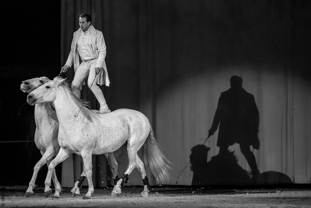 Cheval Passion 20160123-1957