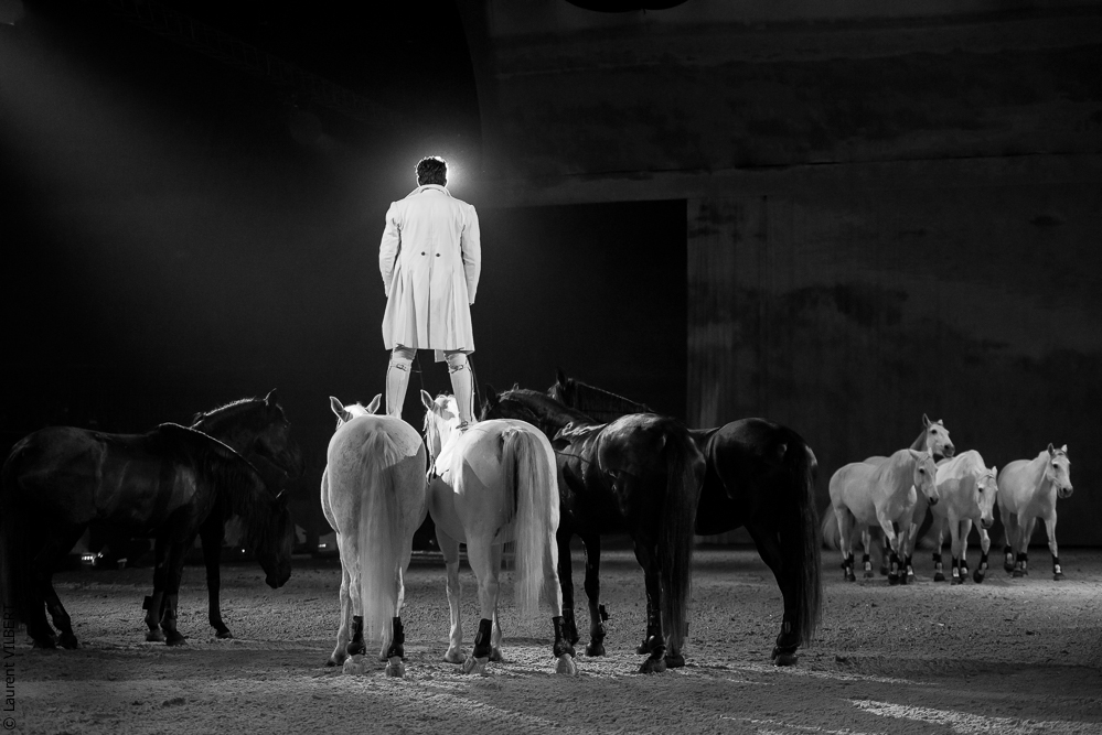 Cheval Passion 20160123-1975