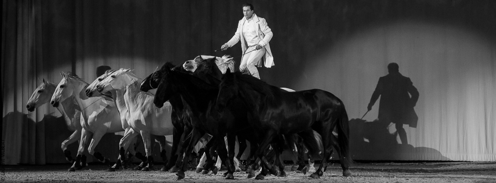 Cheval Passion 20160123-2013