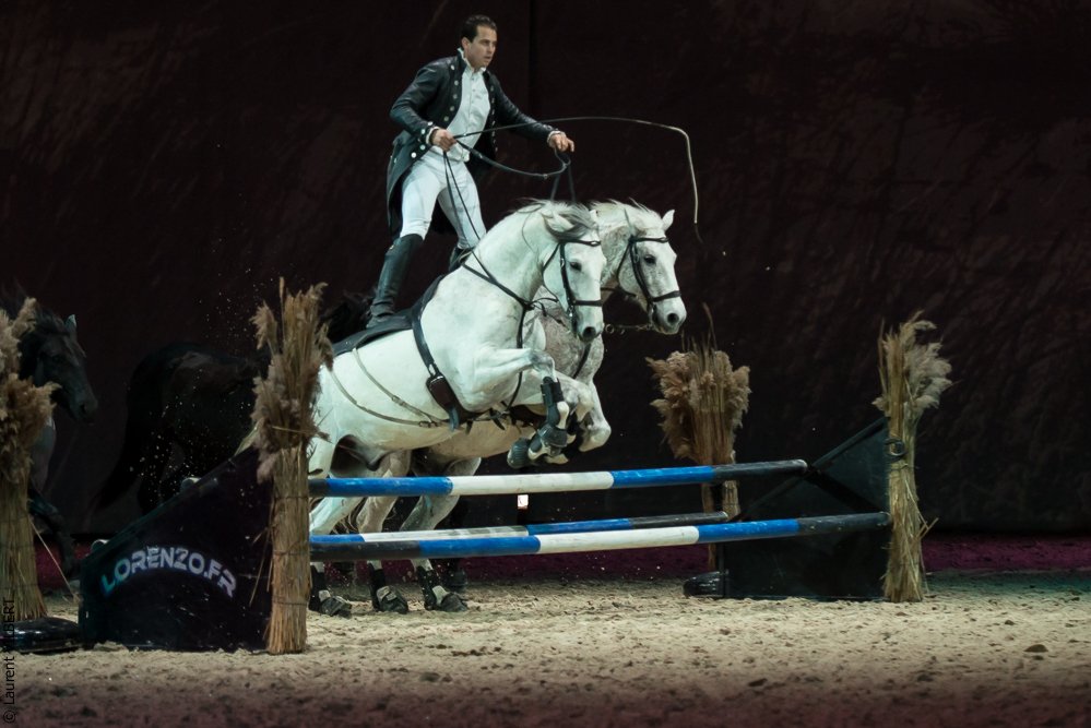 Cheval Passion 20160123-3088