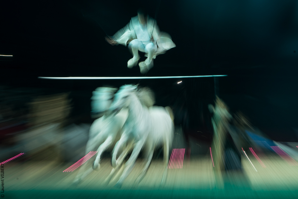 Cheval Passion 20160123-4198