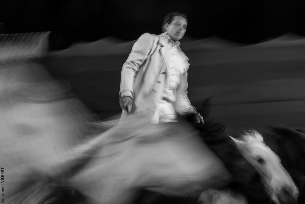 Cheval Passion 20160123-4216