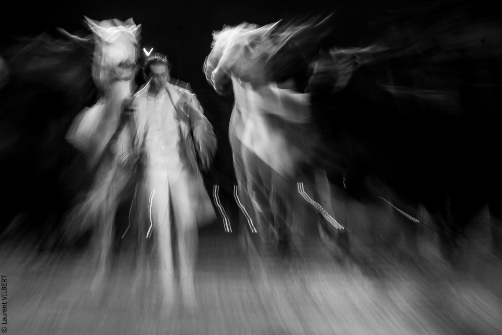 Cheval Passion 20160123-4224