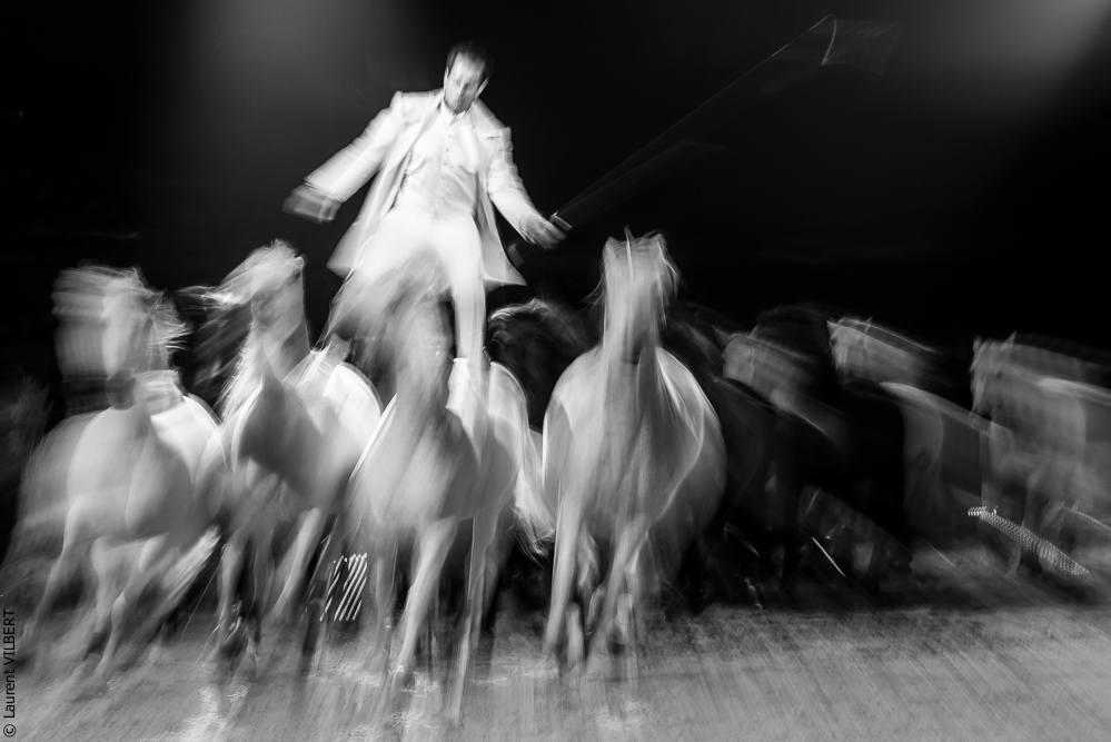 Cheval Passion 20160123-4343