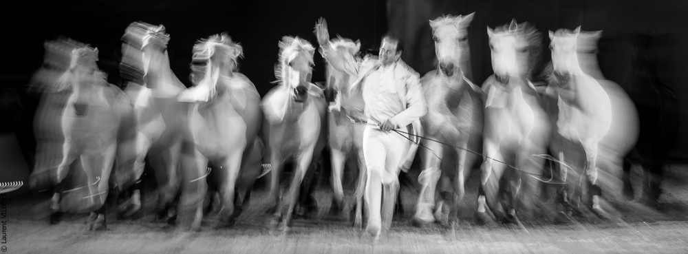 Cheval Passion 20160123-4389