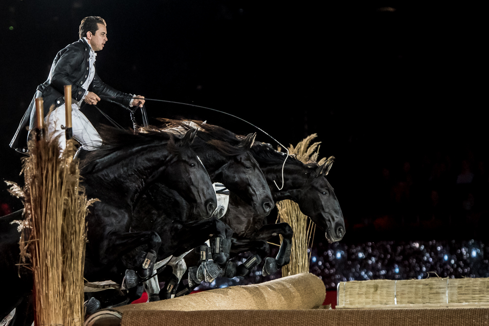 Lorenzo 20171125-0164