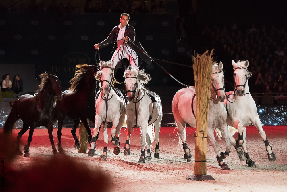 Lorenzo 20171125-0300