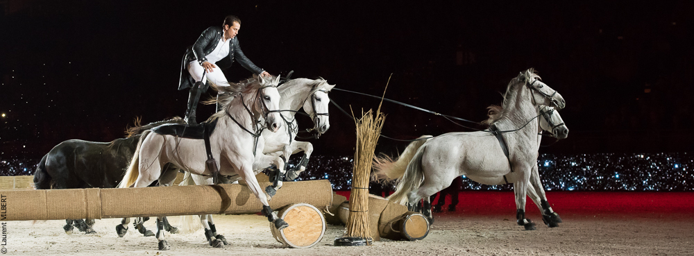 Lorenzo 20171125-0322