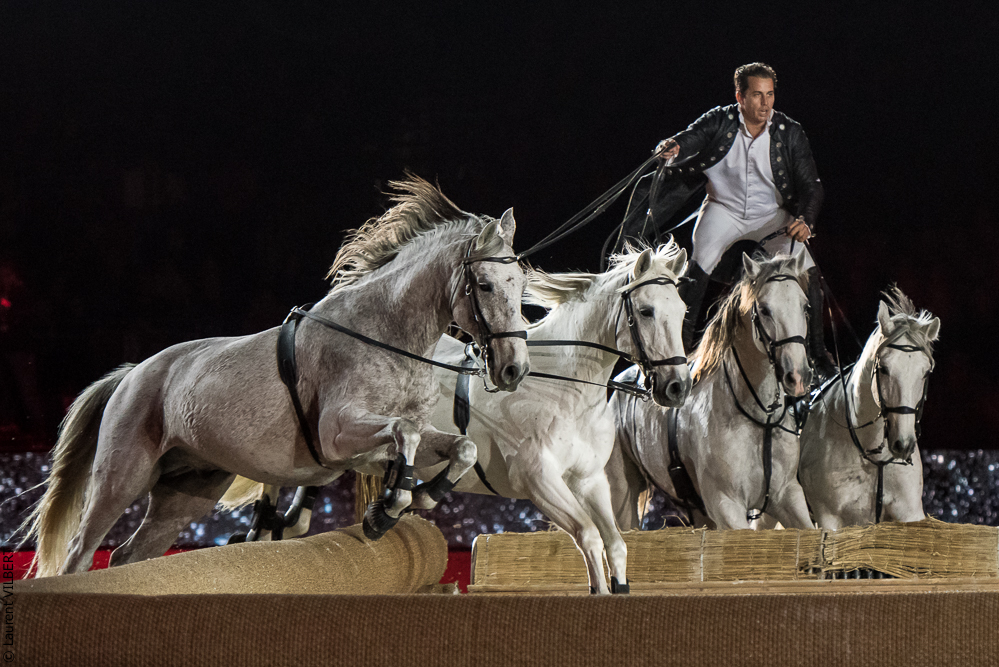 Lorenzo 20171125-0331