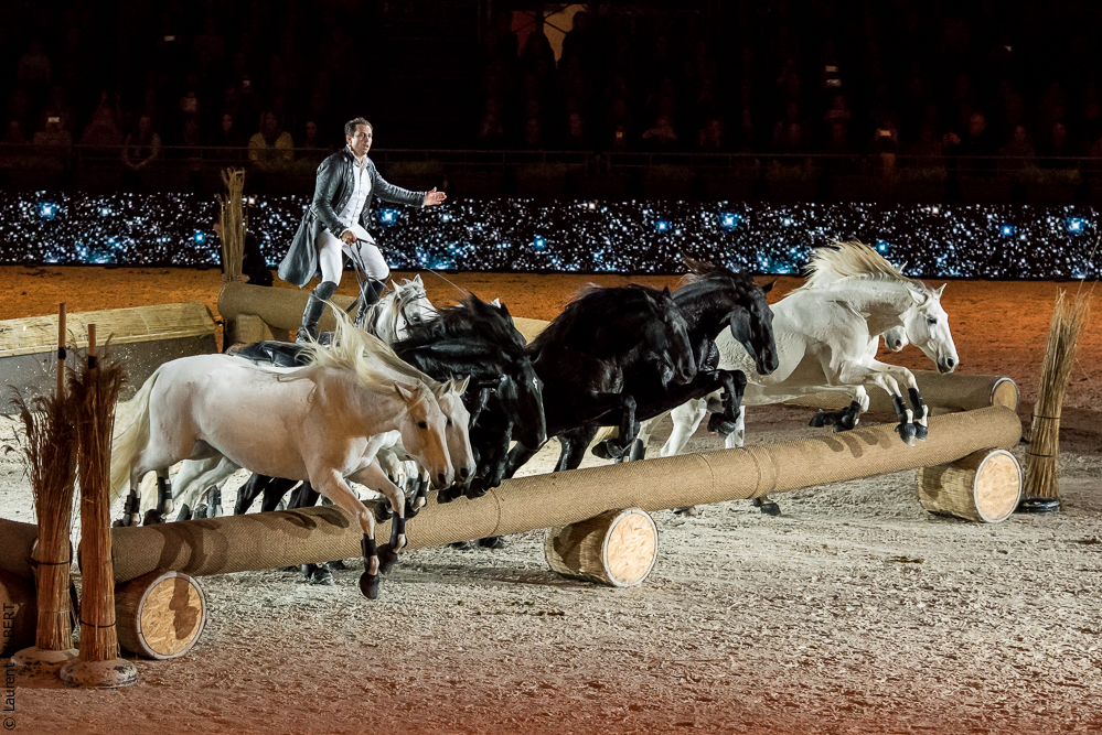 Lorenzo 20171125-0390