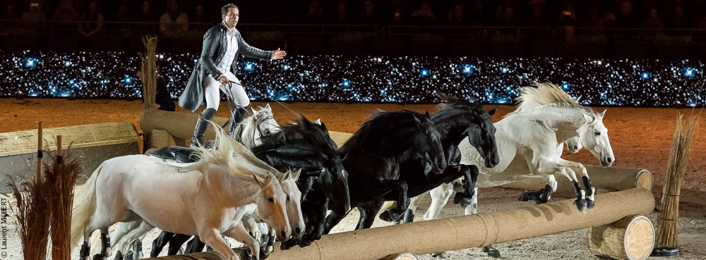 Lorenzo 20171125-0390