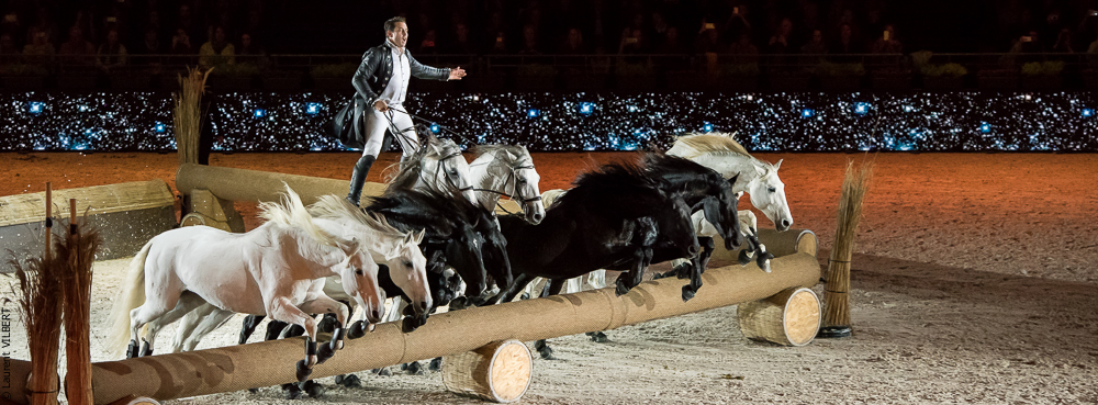 Lorenzo 20171125-0406