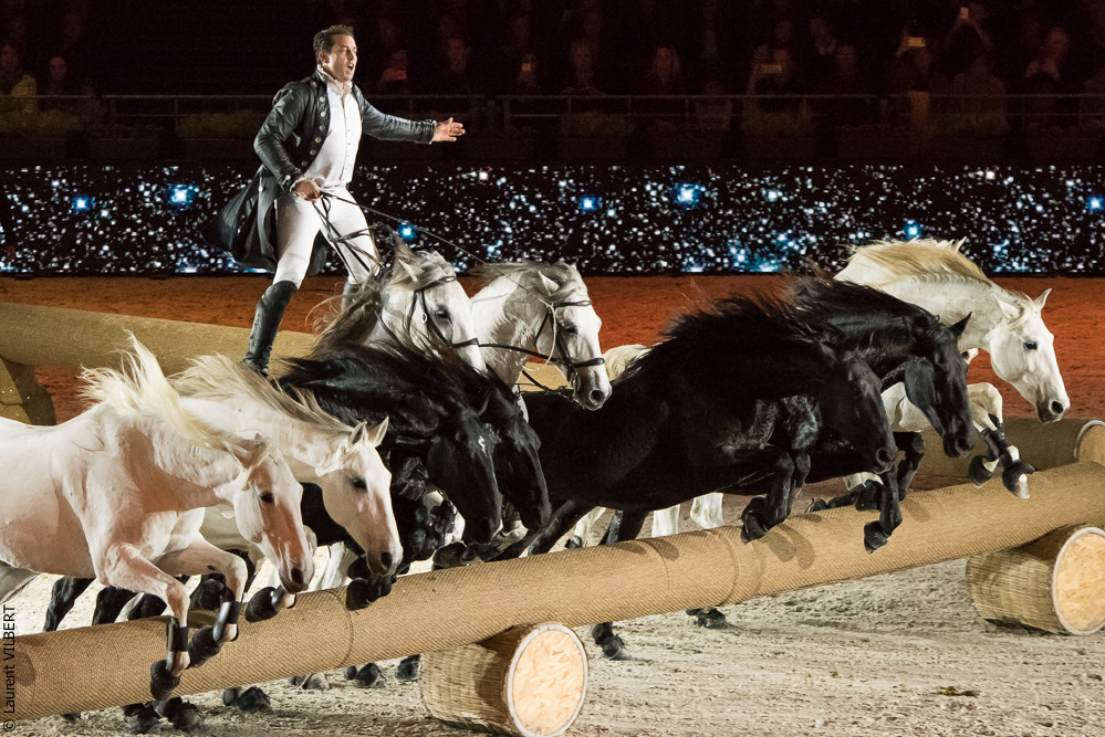 Lorenzo 20171125-0406