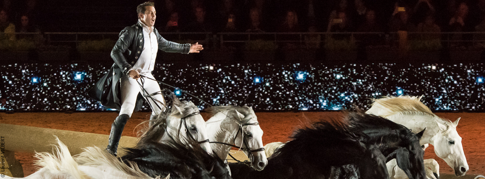 Lorenzo 20171125-0406