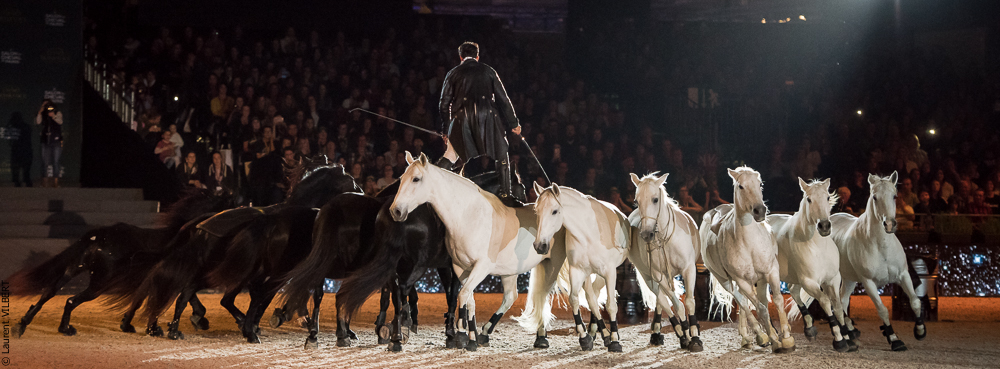 Lorenzo 20171125-0633