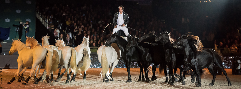 Lorenzo 20171125-0636