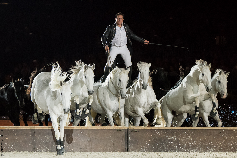 Lorenzo 20171125-0663