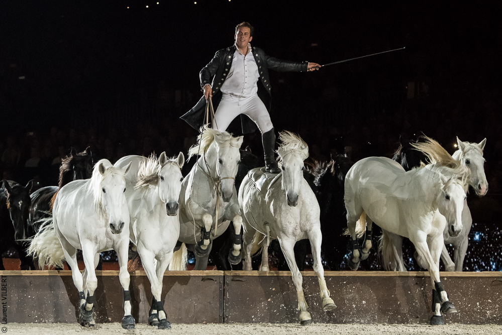 Lorenzo 20171125-0664