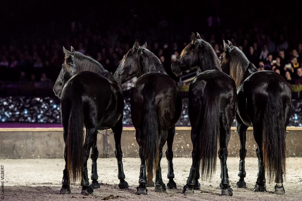 Lorenzo 20171125-0680
