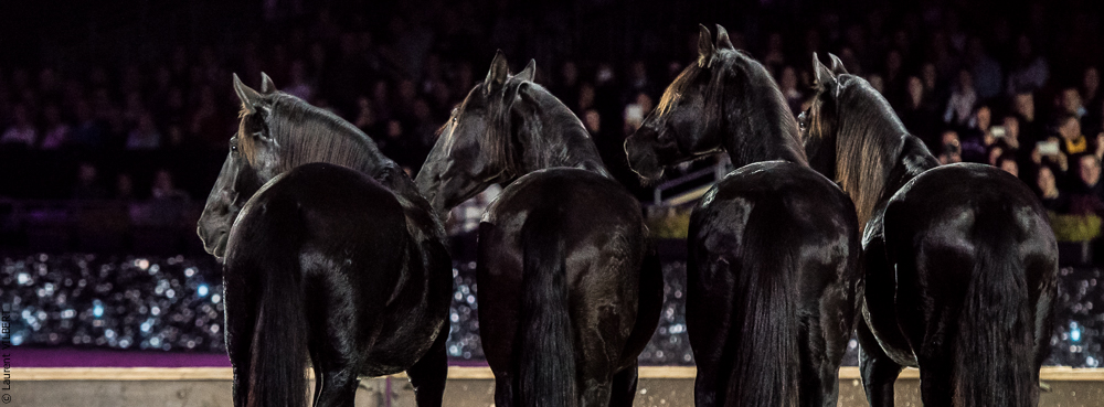 Lorenzo 20171125-0680