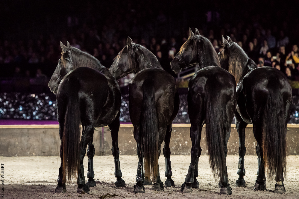 Lorenzo 20171125-0682