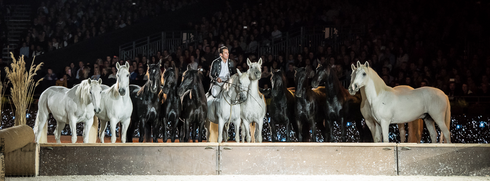 Lorenzo 20171125-0754