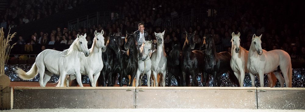 Lorenzo 20171125-0761