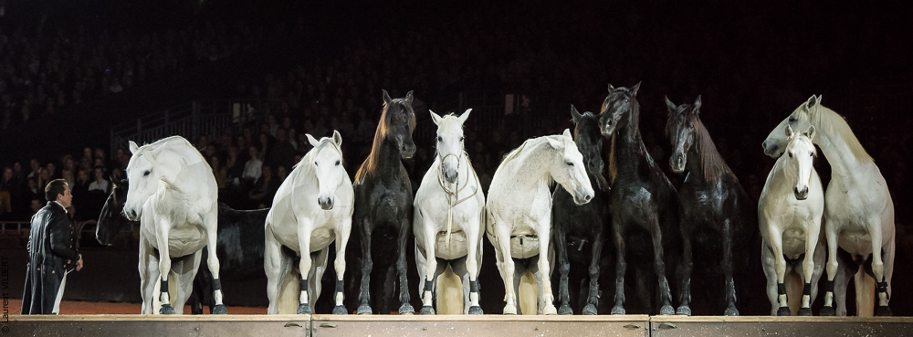 Lorenzo 20171125-0839