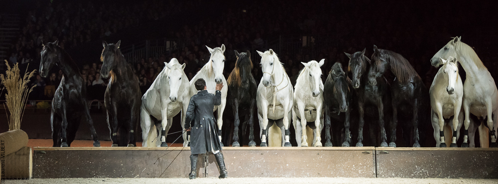 Lorenzo 20171125-0855