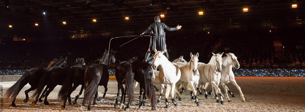 Lorenzo 20171125-1151