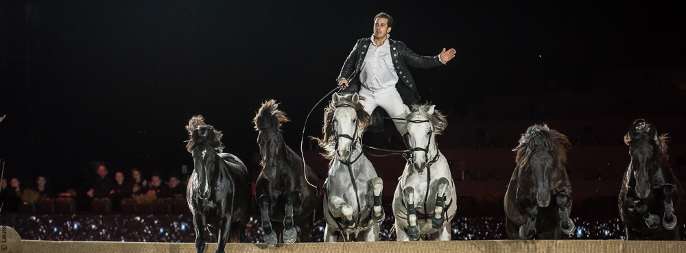 Lorenzo 20171126-1328