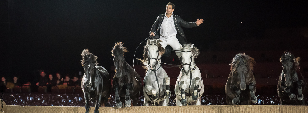 Lorenzo 20171126-1328