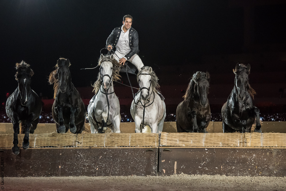 Lorenzo 20171126-1333