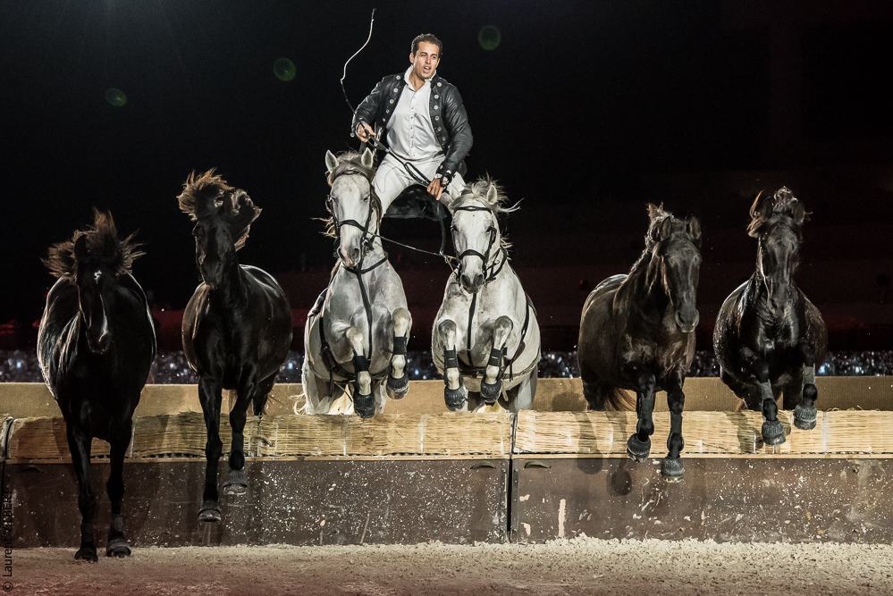 Lorenzo 20171126-1334