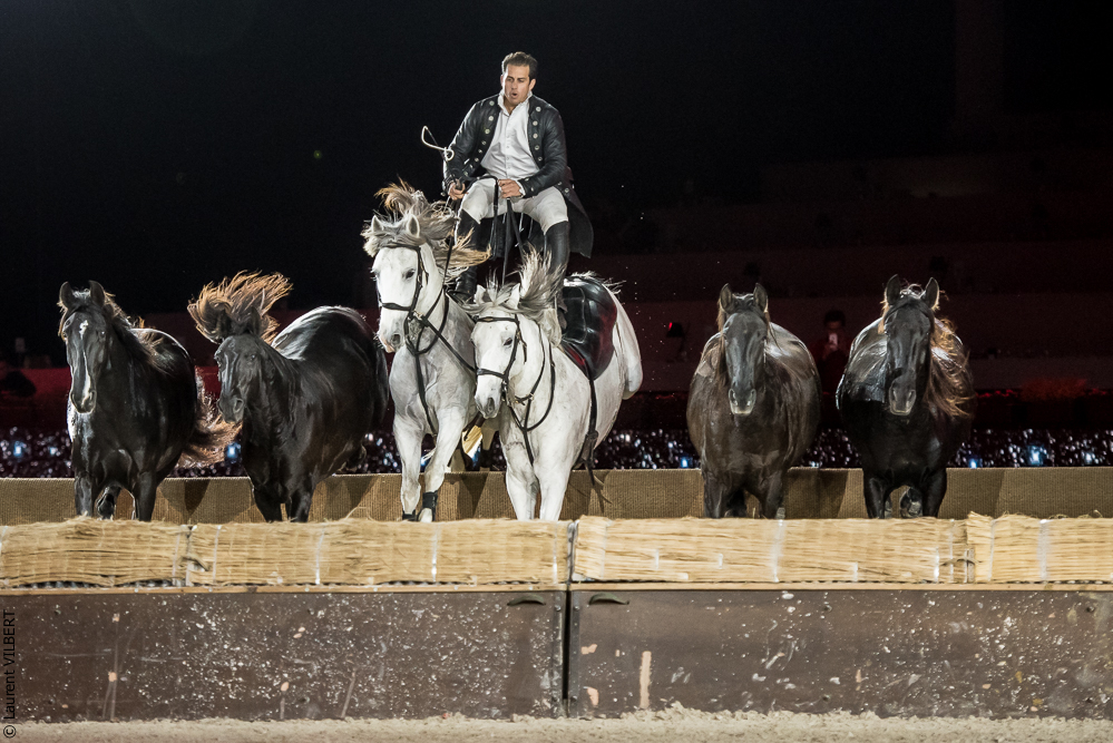 Lorenzo 20171126-1363