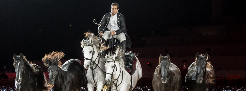 Lorenzo 20171126-1363