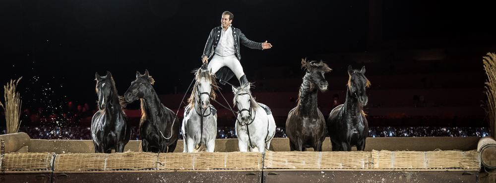 Lorenzo 20171126-1364