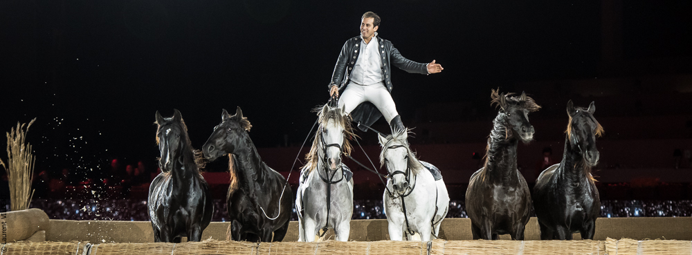 Lorenzo 20171126-1364