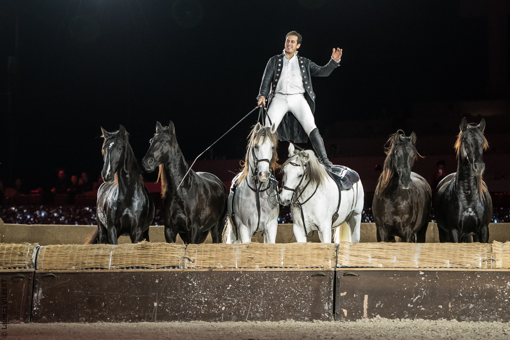 Lorenzo 20171126-1365