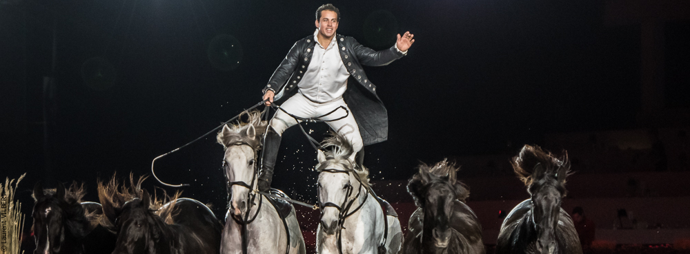 Lorenzo 20171126-1378