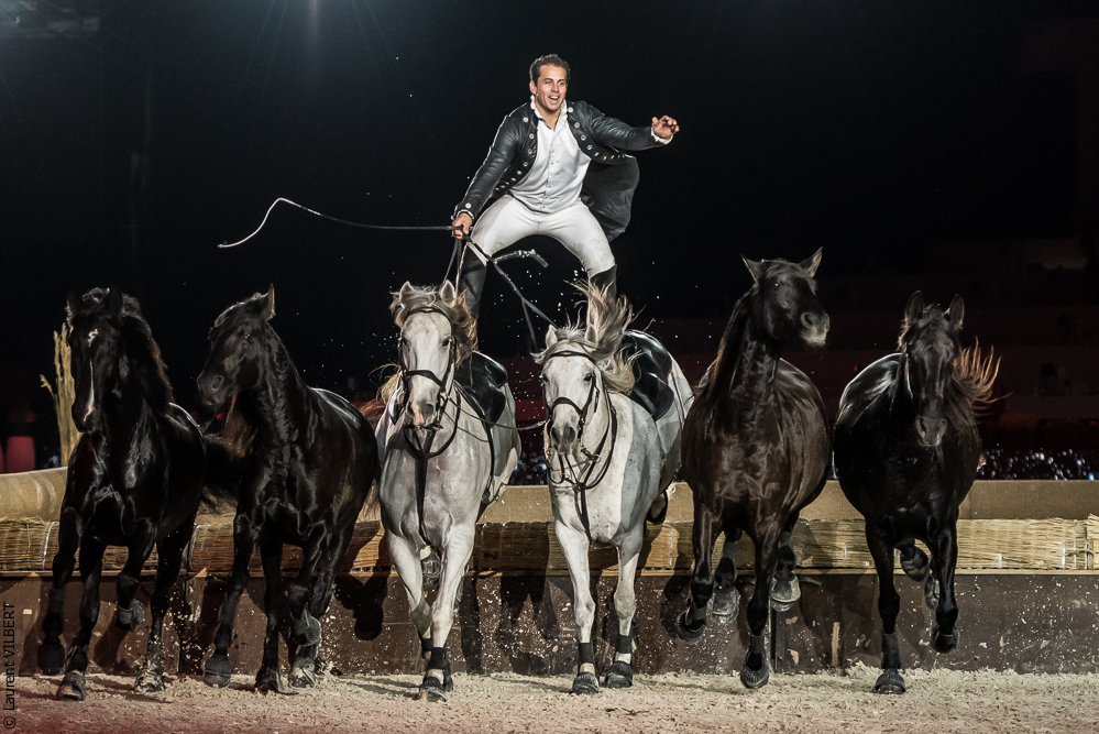 Lorenzo 20171126-1379