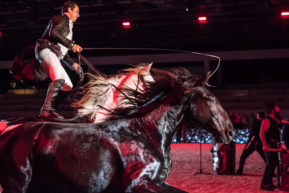 Lorenzo 20171126-1388