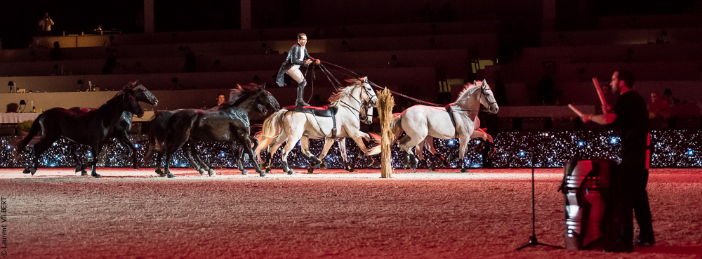 Lorenzo 20171126-1421