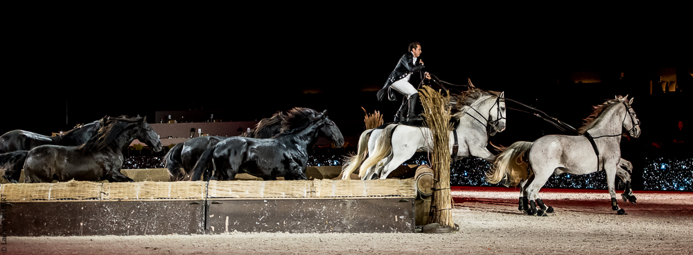 Lorenzo 20171126-1433