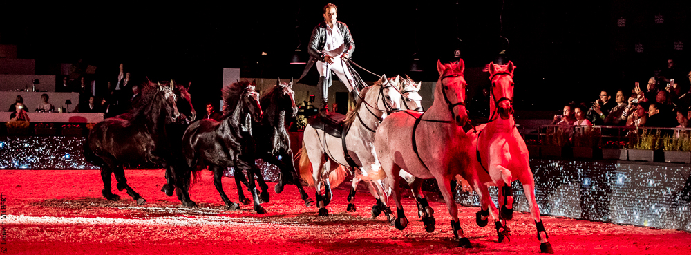 Lorenzo 20171126-1444