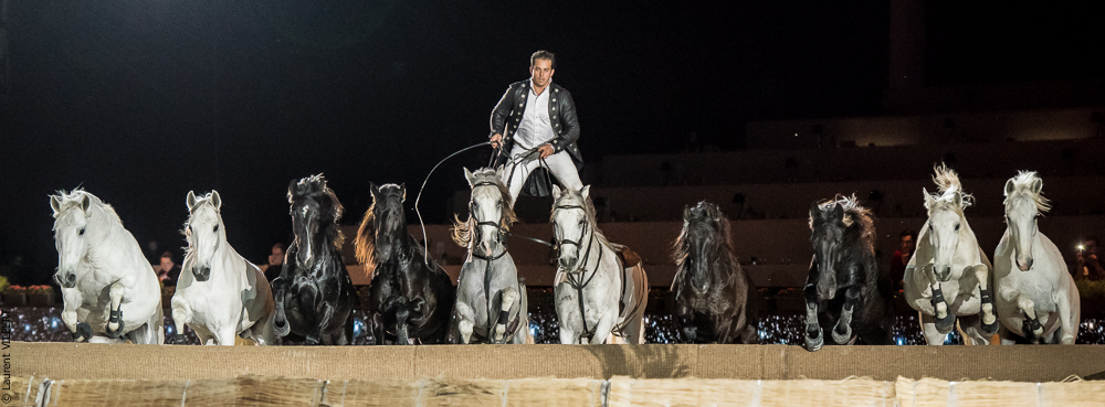 Lorenzo 20171126-1606