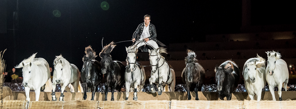 Lorenzo 20171126-1607