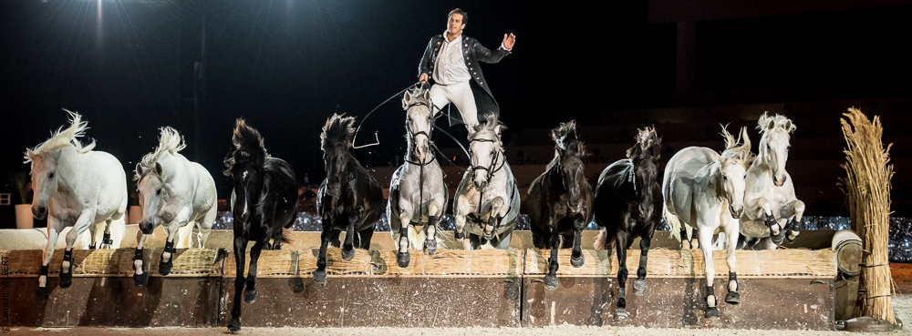 Lorenzo 20171126-1609