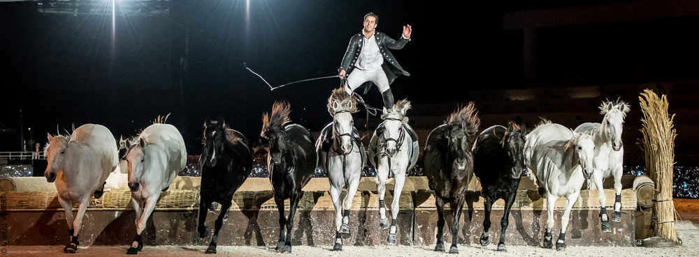 Lorenzo 20171126-1610