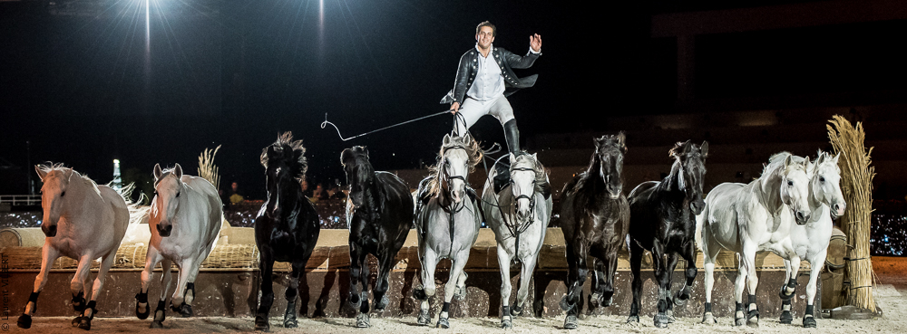 Lorenzo 20171126-1611